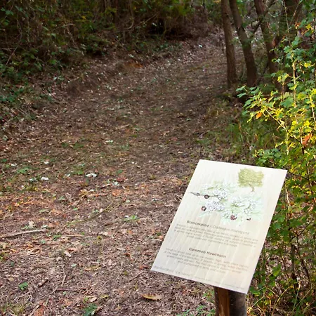 La Serra * Cenaia